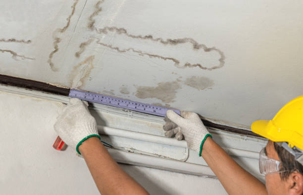 Reliable Flood Cleanup contractor in Bellvue, CO by Water Damage Irwin